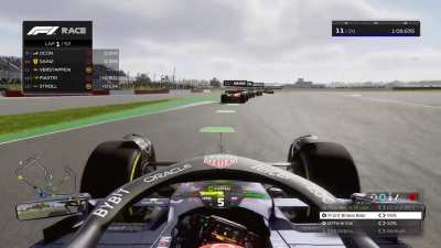 Max Verstappen sim