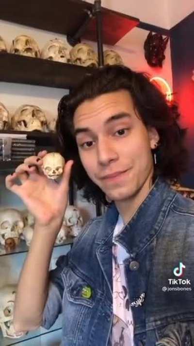 collecting human skeletons