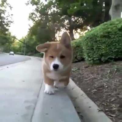 Remember when you were a kid and you wanted to walk along the wall? <O O^