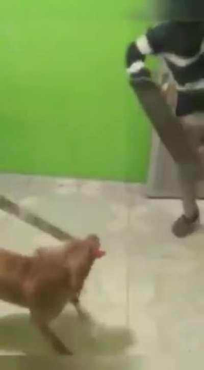 imagine if that skateboard weren’t there..