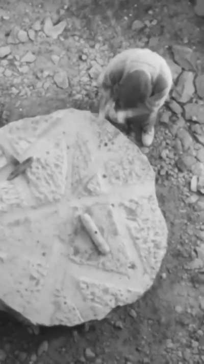 Стучим по камню