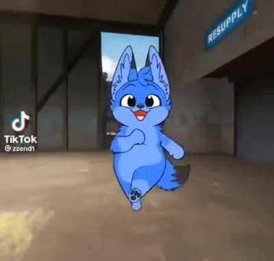 Little idiot got to big for its britches