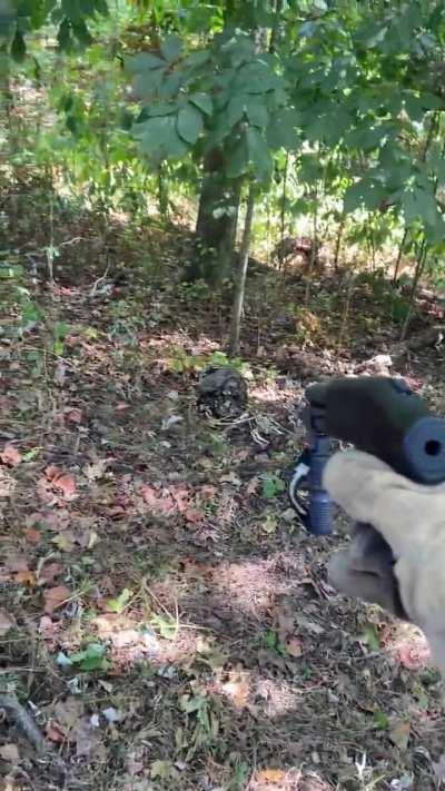 They can have a little buckshot