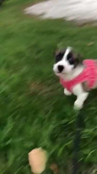 She may be blind in one eye but she’s lethal.