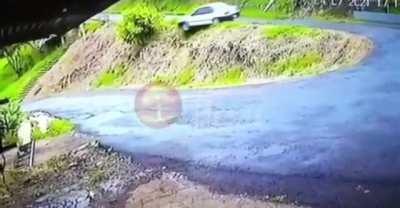 I think I found the mascot for this sub