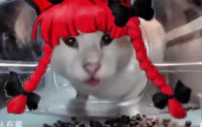 Must've been the wind