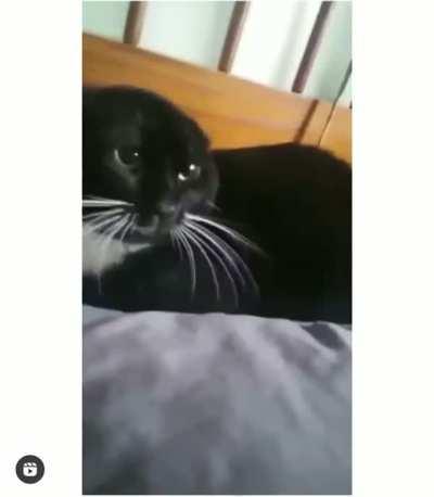 Attack has been thwarted