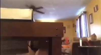 Why did he fall like he got dropkicked?