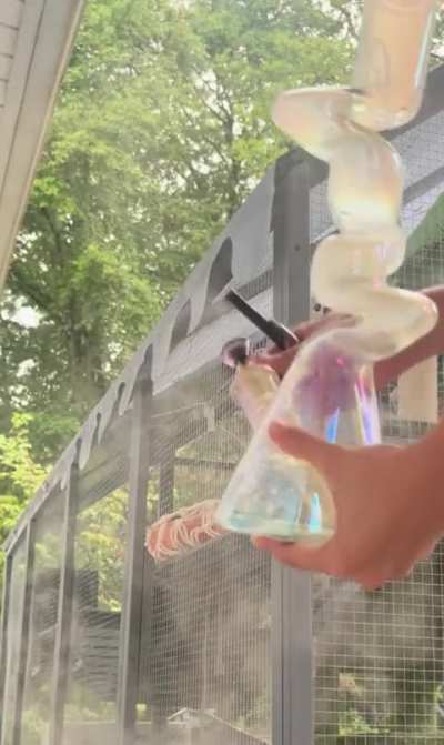 It finally rained 🌧️