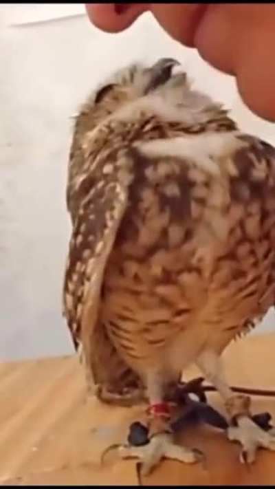 the way it smiles :)