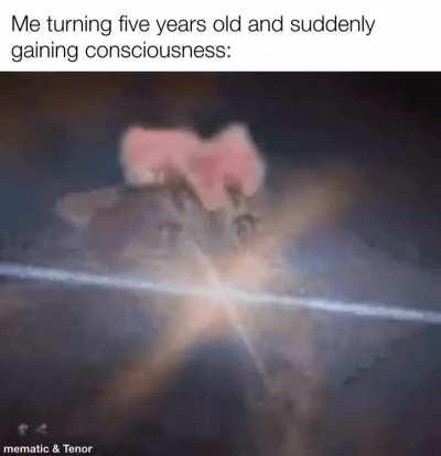 Where am I? Who or what am I? When am I? Why am I here?