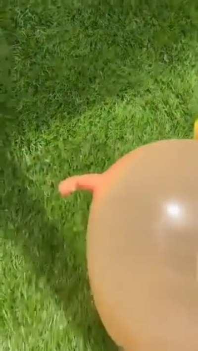 From Armstrong, to Donald Trump
