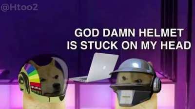 Le doge punk argument