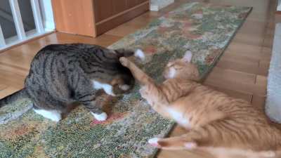 I slap you, no I slap you!