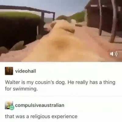 Journey to the ocean