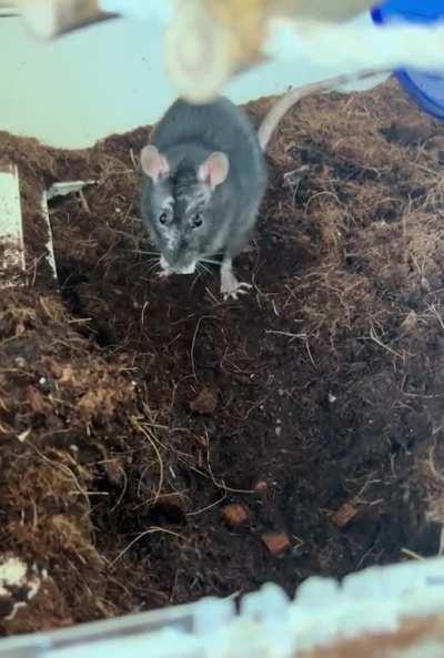 I just found out she likes this ð