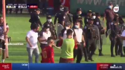 A football match in Guatemala was interrupted by a one and a half meter long snake.