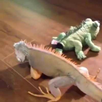 Master forgive me but I must go full scale this one time