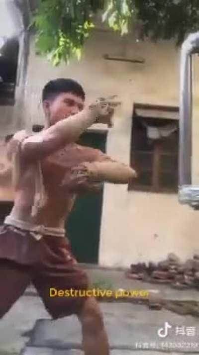 A Muay Thai practitioner's shin conditioning 