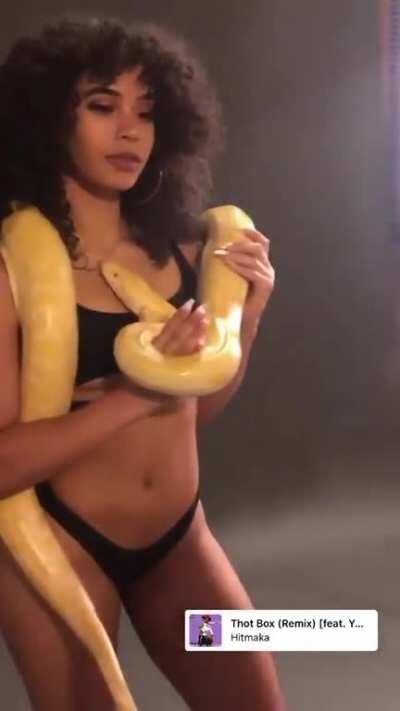 🐍