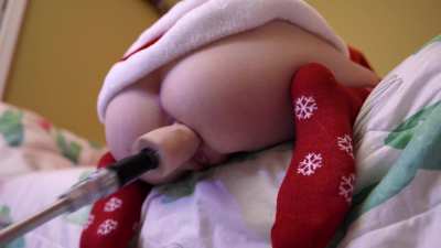 Tweetney - Anal Festivities