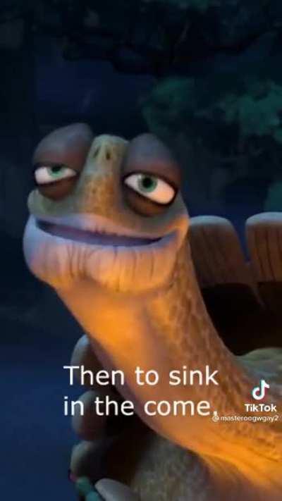 Wise word from a wise turtel