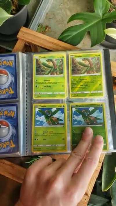 I'll take my Tropius King crown now