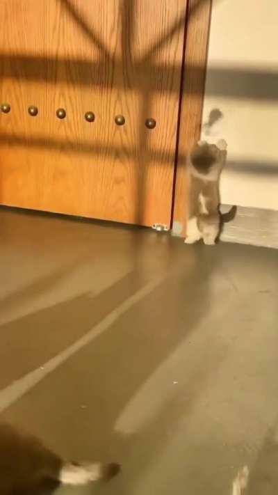 There’s always one..