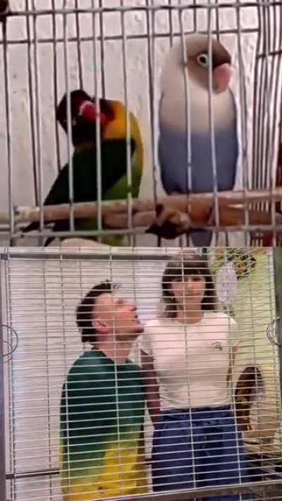 Hombres... todos iguales...