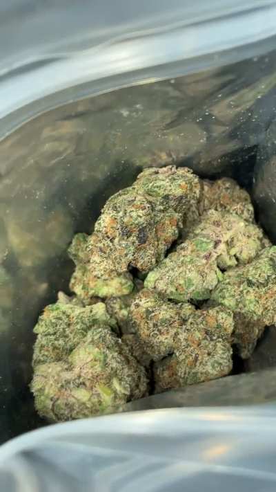 Melon cherry gelato