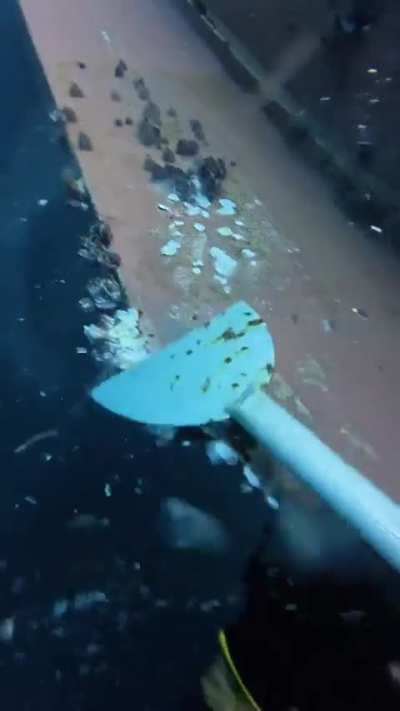 Cleaning container ship alone