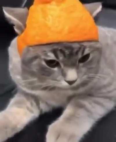 Hat if confusing, causes -1000 intelligence to all feline enemies.