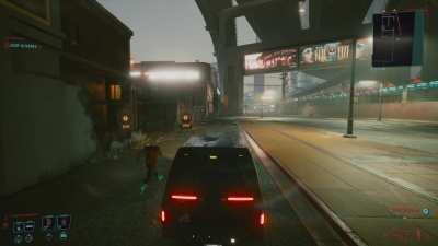 Just another cyberpunk bug lol