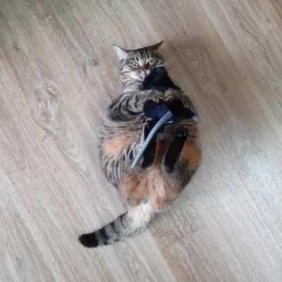 Mouse vs mega chonker!