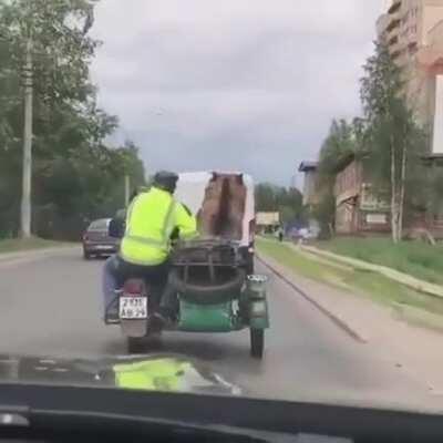 I think the russians' exclusive pets are kinda OP