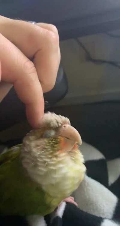 Ignore my garbage cable management