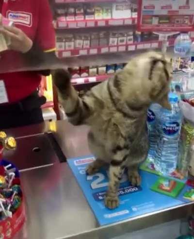 Top Shelf Cashier