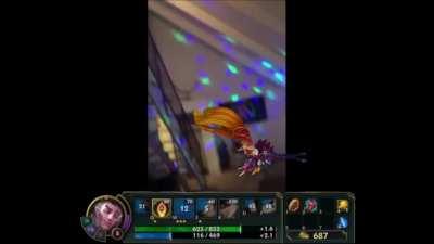 the lovely bird couple fucking dies