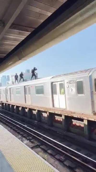 Bitch, GET DOWN from there