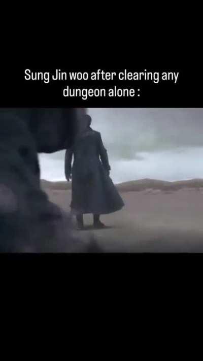 That Sung Jin Woo Moment when :