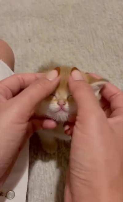 Small, red and ...so cute.