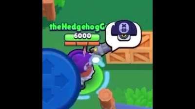 Youuu are a piratee!