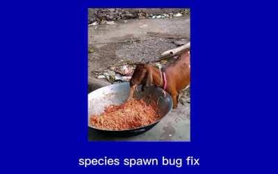 Philippines patch notes release