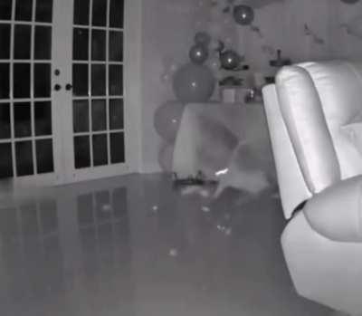 Surprise birthday party ruined by this asshole!!!