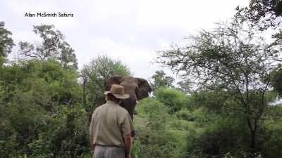 The stones on this man for standing his ground against a charging elephant
