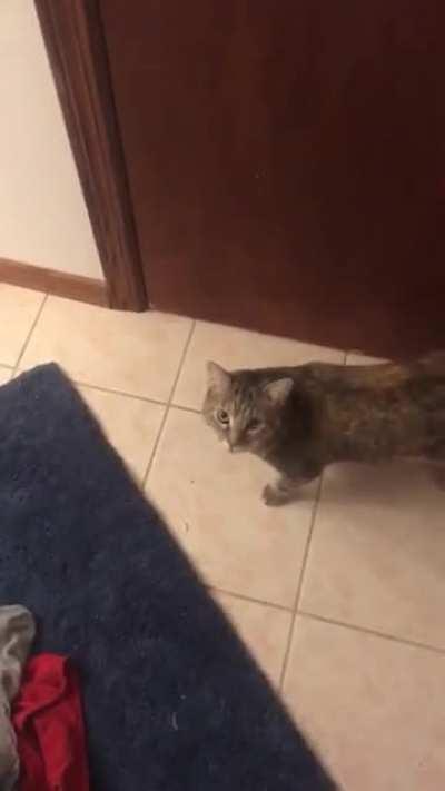 Dont worry... I promptly opened the door after recording