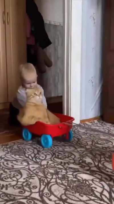 OK little humans, take me to the food.