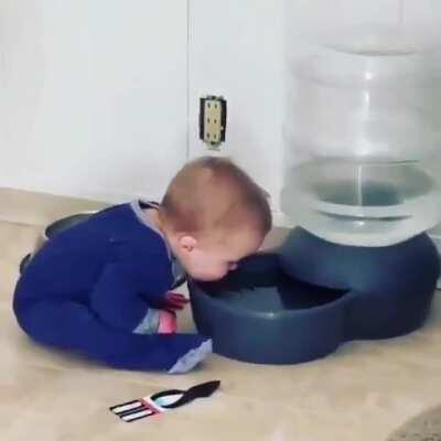 When you live alone and don’t care about anything anymore...