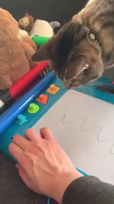 You seeing the magic of a sketchbook?