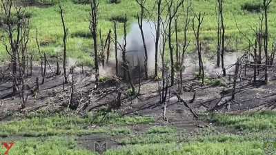 Ukraine's Da Vinci Wolves Battalion targets multiple Russian soldiers with FPV drones near Pokrovsk, published August 28th 2025.